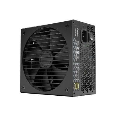 Fractal Design Ion 550W 80 Plus Gold (FD-P-IA2G-550)
