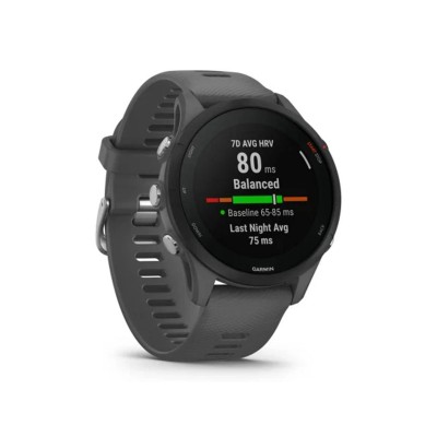 Garmin Forerunner 255 Slate Gray (010-02641-00/10/43)