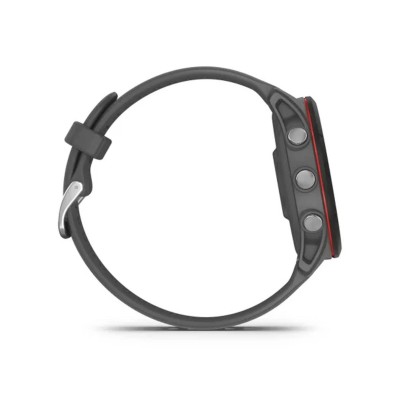 Garmin Forerunner 255 Slate Gray (010-02641-00/10/43)