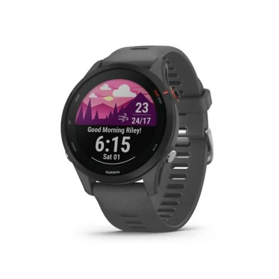 Garmin Forerunner 255 Slate Gray (010-02641-00/10/43)