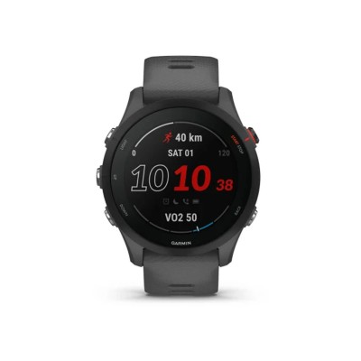 Garmin Forerunner 255 Slate Gray (010-02641-00/10/43)