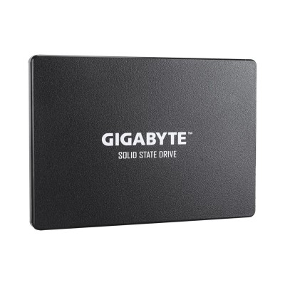 GIGABYTE GP-GSTFS31480GNTD