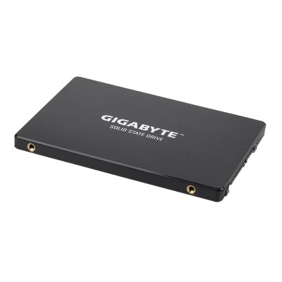 GIGABYTE GP-GSTFS31480GNTD