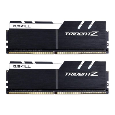 G.Skill 16 GB (2x8GB) DDR4 3600 MHz (F4-3600C16D-16GTZKW)