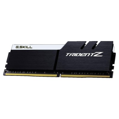 G.Skill 16 GB (2x8GB) DDR4 3600 MHz (F4-3600C16D-16GTZKW)