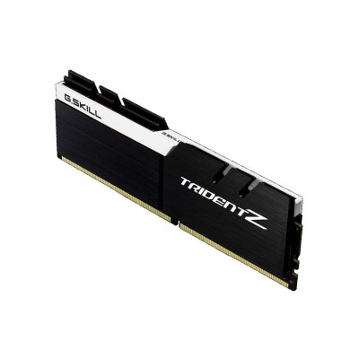 G.Skill 16 GB (2x8GB) DDR4 3600 MHz (F4-3600C16D-16GTZKW)