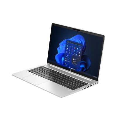 HP ProBook 455 G10 (8A5Z4EA)