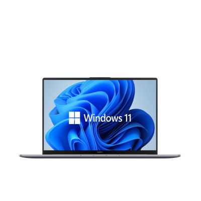 Huawei MateBook D 16 (RolleF-W7651)