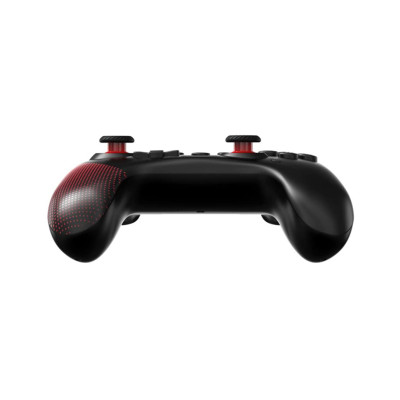Acer Nitro Gaming Controller (GP.OTH11.048)