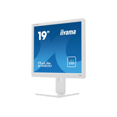 iiyama B1980D-W5