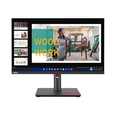 Lenovo ThinkVision P24q-30 (63B4GAT6EU)
