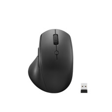 Lenovo 600 Wireless Media Mouse (GY50U89282)