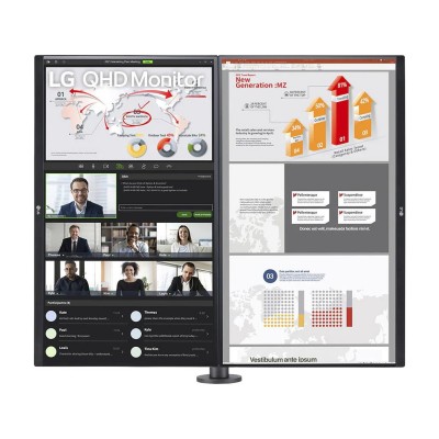 LG 27QP88DP-BS Ergo Dual