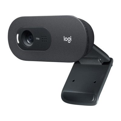 Logitech C505e HD (960-001372)