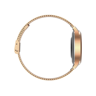 Maxcom FW42 Gold