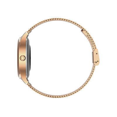 Maxcom FW42 Gold