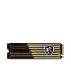 MSI Spatium M570 w/heatsink 1 TB (S78-440L1M0-P83)