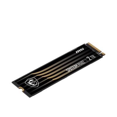 MSI Spatium M482 2 TB (S78-440Q730-P83)