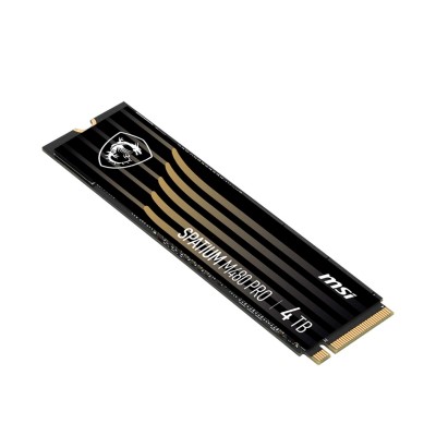 MSI 4TB M.2 PCIe Gen4 NVMe Spatium M480 PRO (S78-440R050-P83)