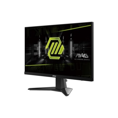 MSI Optix MAG 256F