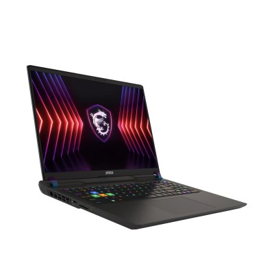 MSI Vector 16 HX A14VGG (A14VGG-296PL)