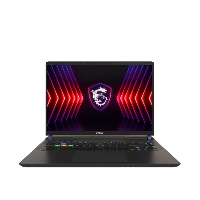 MSI Vector 16 HX A14VGG (A14VGG-296PL)