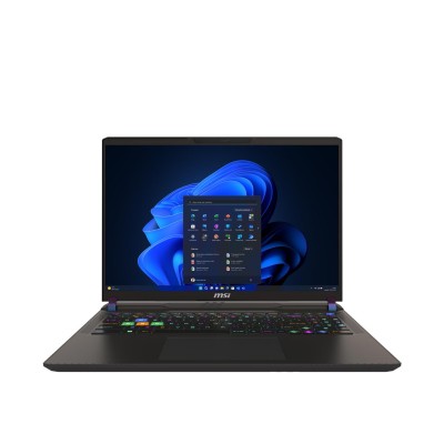 MSI Vector 16 HX A14VGG (A14VGG-296PL)