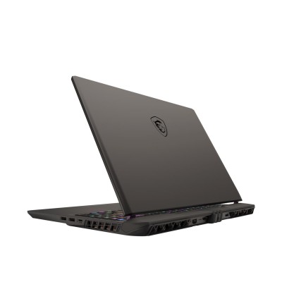 MSI Vector 16 HX A14VGG (A14VGG-296PL)