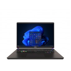 MSI Vector 17 HX (A13VHG-834PL)