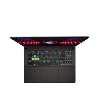 MSI Vector 17 HX A13VIG (A13VIG-833PL)