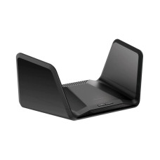 Netgear  RAXE300-100EUS