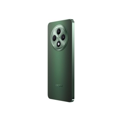 OPPO Reno12 FS 5G 12/512GB Black Green