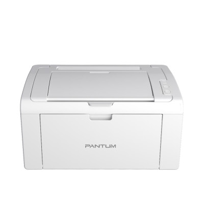 PANTUM P2509W