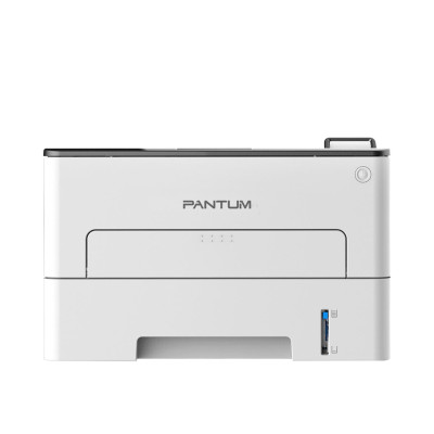 Pantum P3010D