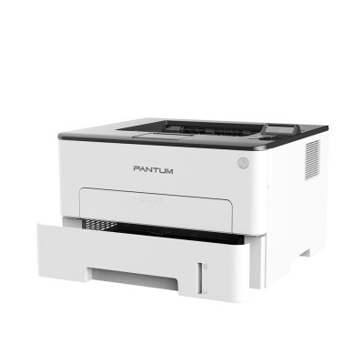 Pantum P3010D