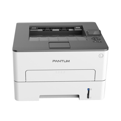 Pantum P3010D