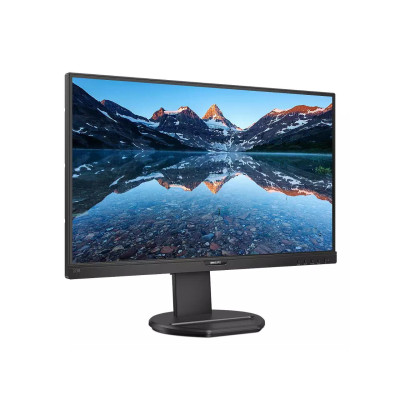 Philips 273B9/00, 273B9/01