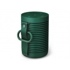 Bang Olufsen Beosound Explore Green