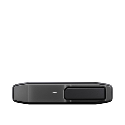 SanDisk Professional PRO-BLADE TRANSPORT 1TB (SDPM2NB-001T-GBAND)