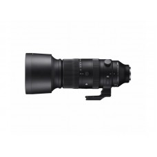 Sigma S 60-600mm f/4.5-6.3 DG DN OS Sony E