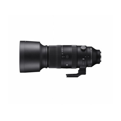 Sigma S 60-600mm f/4.5-6.3 DG DN OS Sony E