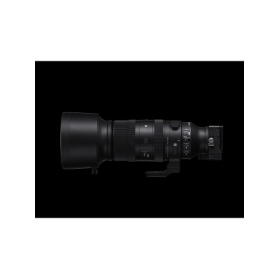 Sigma S 60-600mm f/4.5-6.3 DG DN OS Sony E
