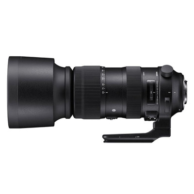 Sigma S 60-600mm f/4.5-6.3 DG OS HSM Canon