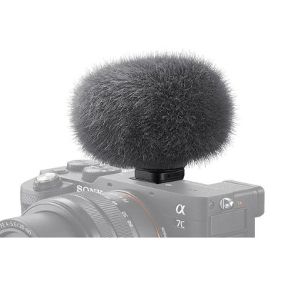 Sony ECM-G1