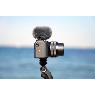 Sony ECM-G1