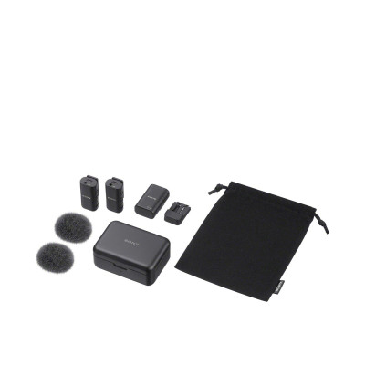Sony ECM-W3
