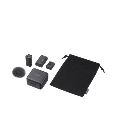 Sony ECM-W3S