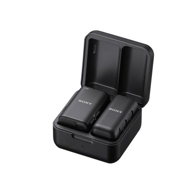 Sony ECM-W3S