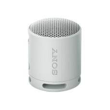 Sony SRS-XB100/H