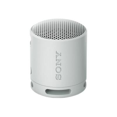 Sony SRS-XB100/H
